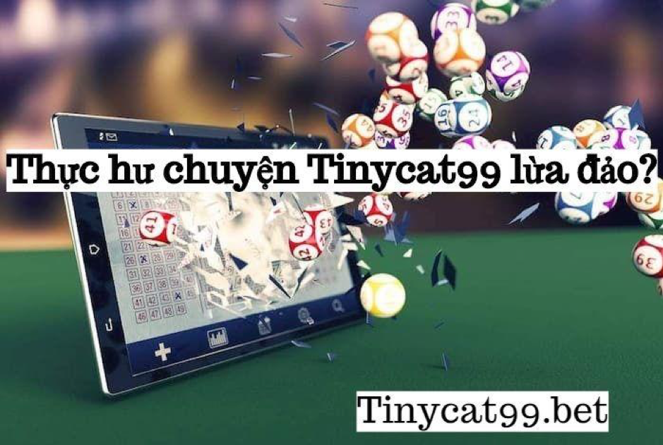 Tinycat99 lừa đảo